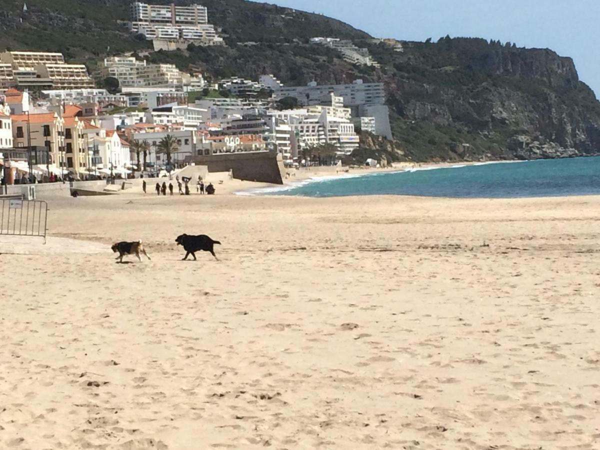Casa Vista Azul Lejlighed Sesimbra Eksteriør billede